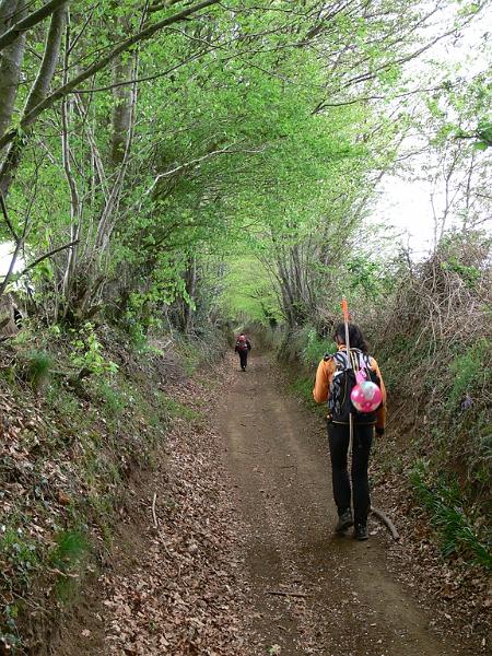 Mont Saint Michel 2010 - 264.jpg